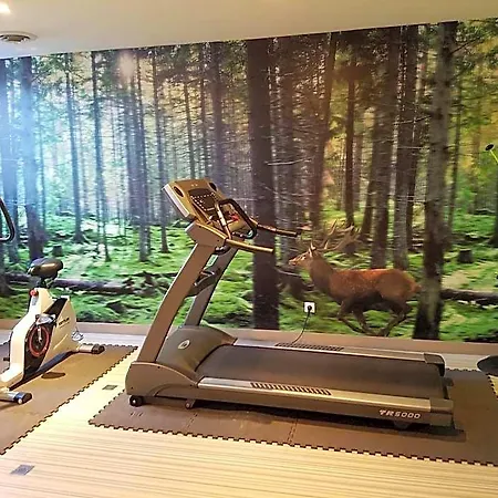 Ibis Styles Compiegne 호텔
