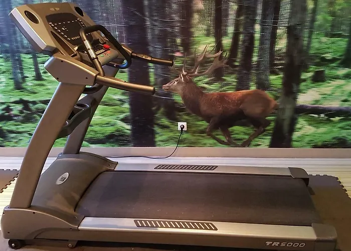 Ibis Styles Compiegne