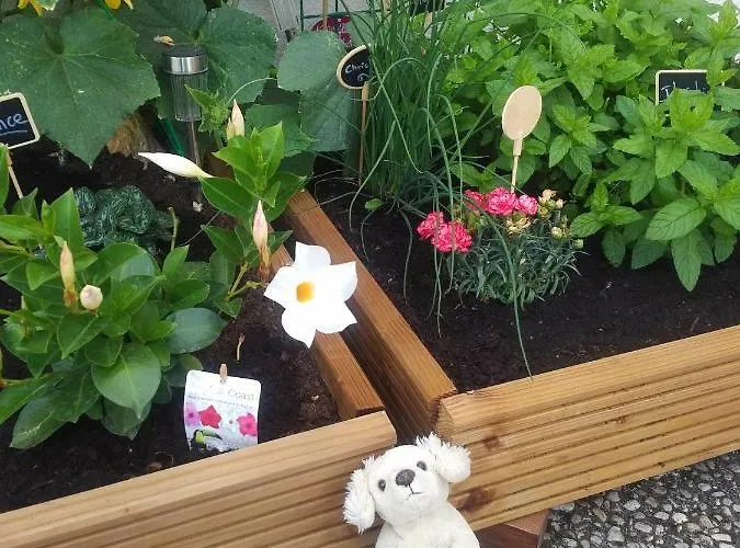 Ibis Styles Compiegne 3*